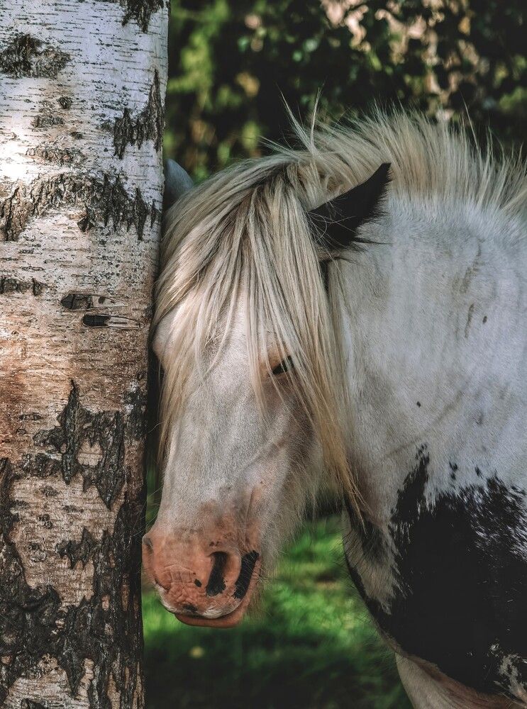 Фотография автора Katz