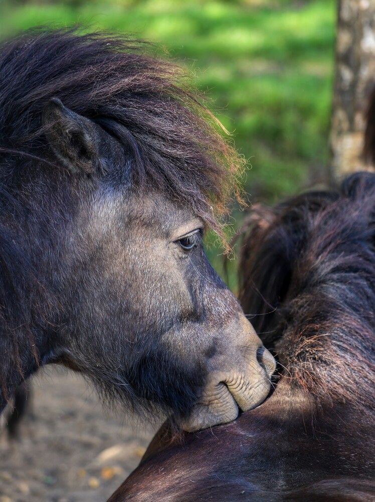 Фотография автора Katz