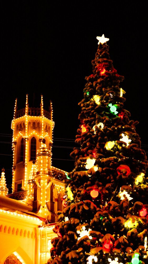 Фотография автора Дмитрий Земсков