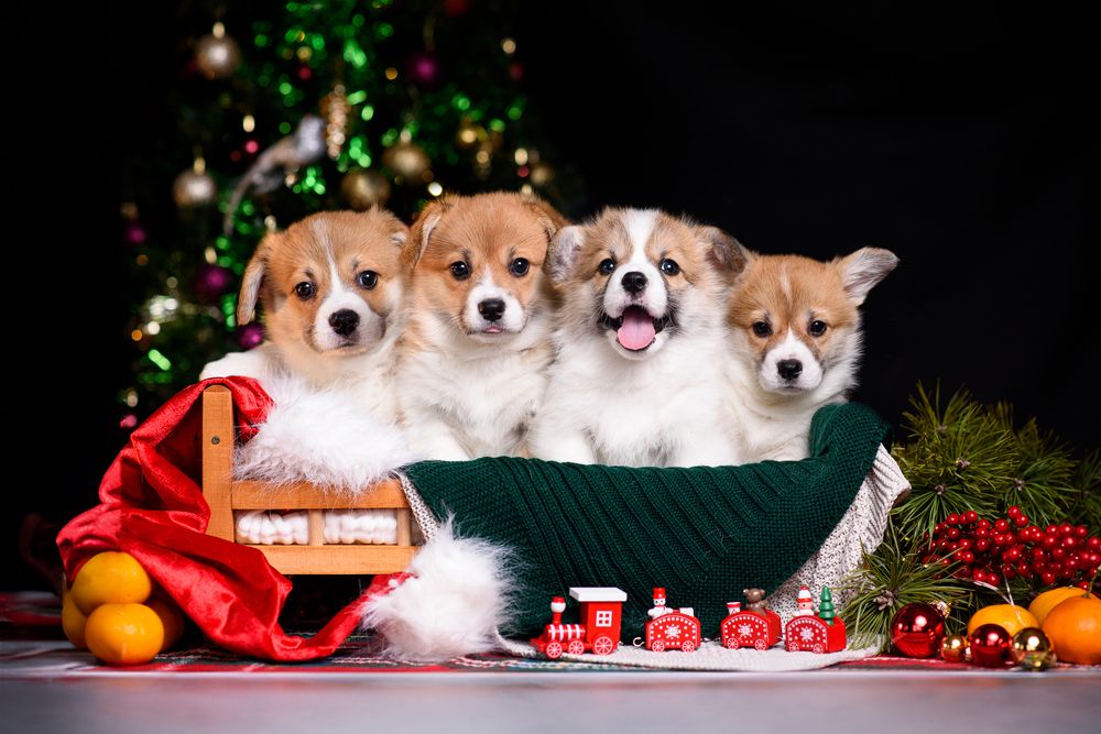 Photograph by Анна Абрамова