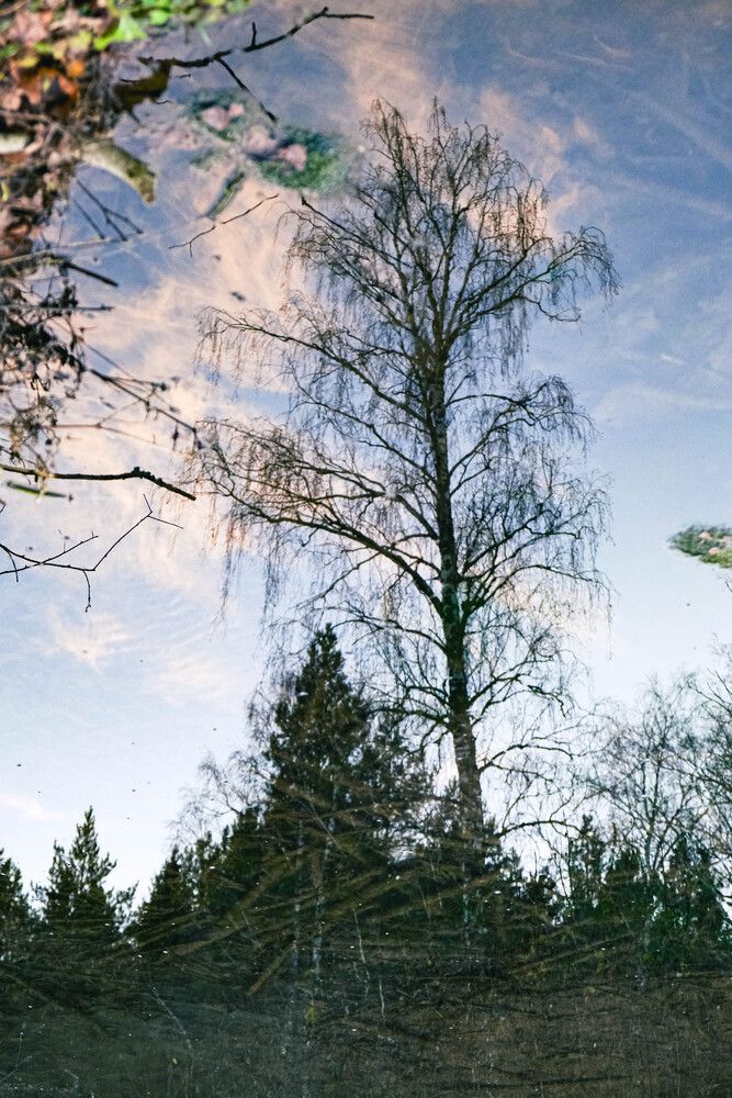 Photograph by Альберт Габбасов