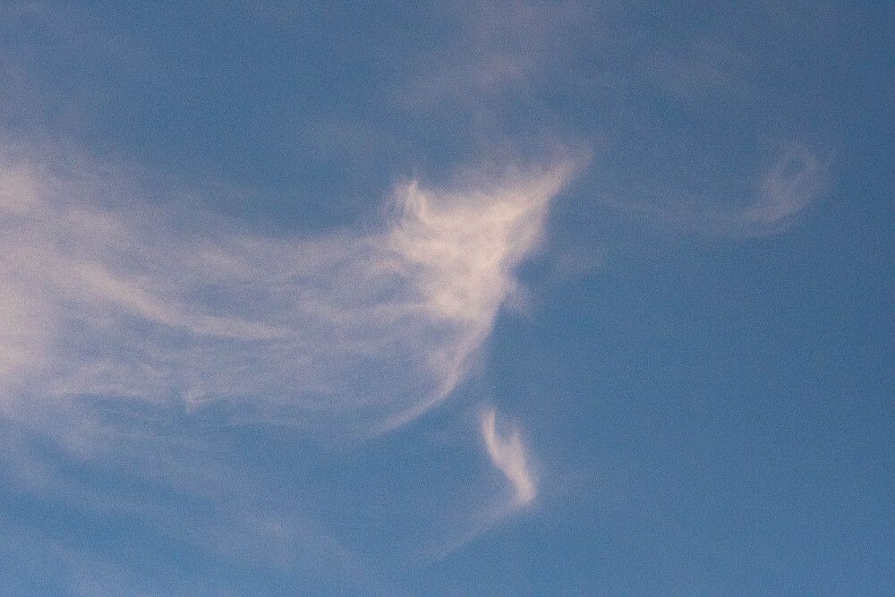 Photograph by Альберт Габбасов