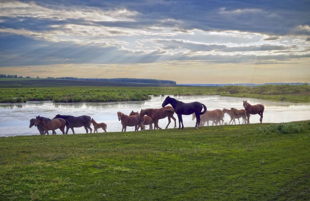 Фотография автора Мишустина Татьяна