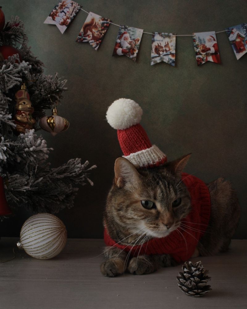 Photograph by Кира Иванова