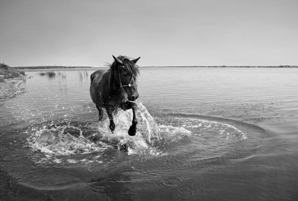 Фотография автора Мишустина Татьяна