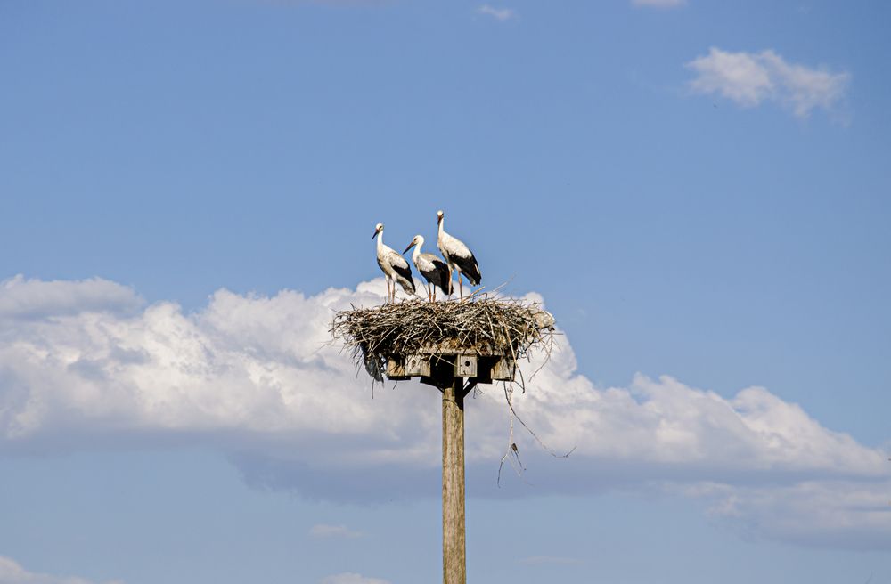 Photograph by MOJDEH NOROUZI