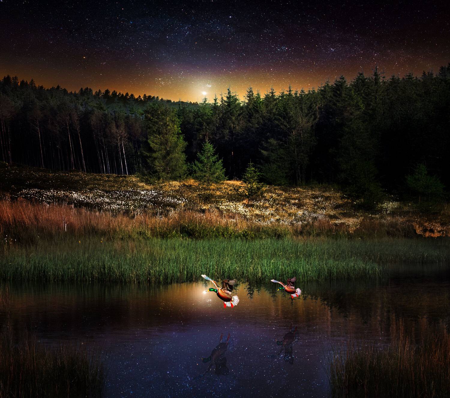 Night of the Lost Lake
