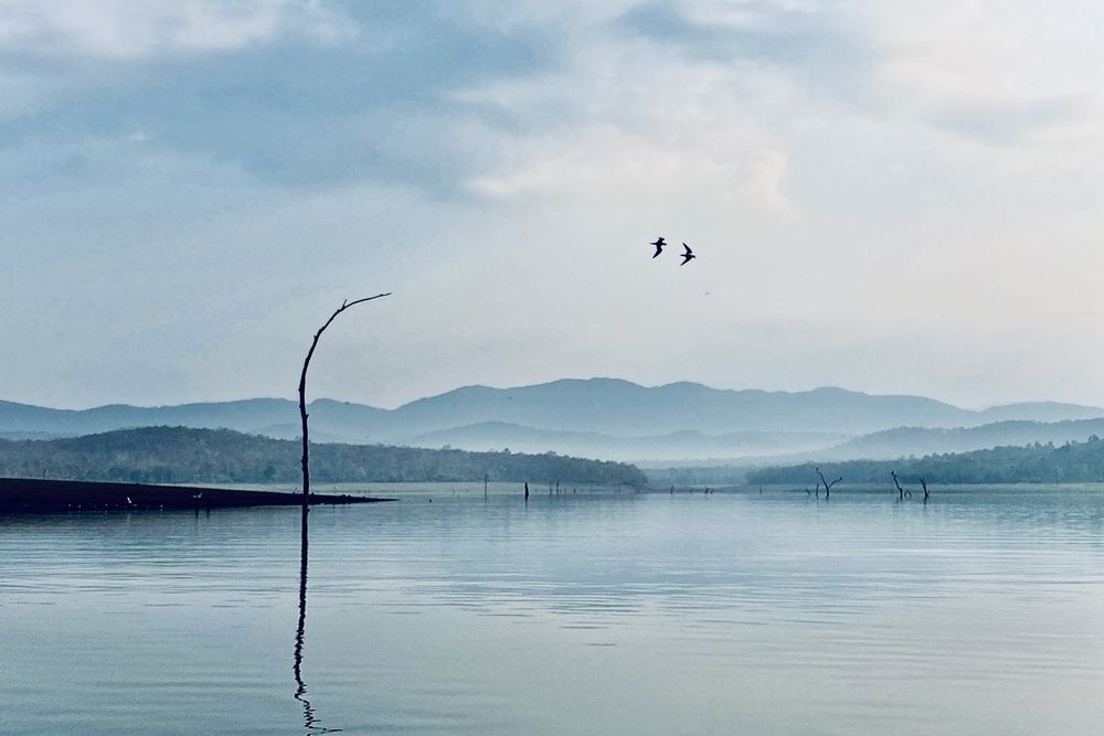 Фотография автора BIPLAB MISRA