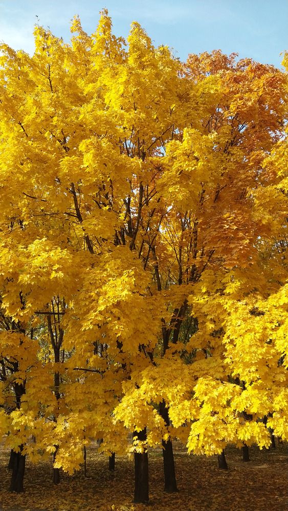 Photograph by Mamerkhanova Assiya