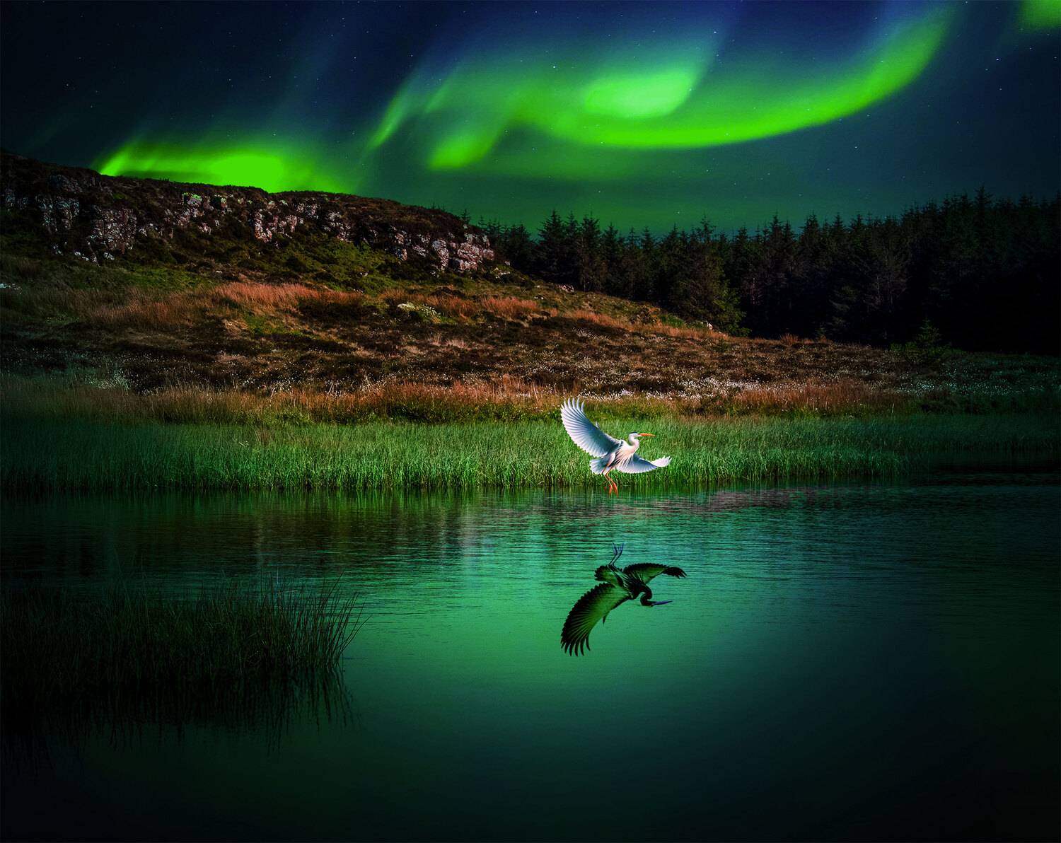 Emerald Silence