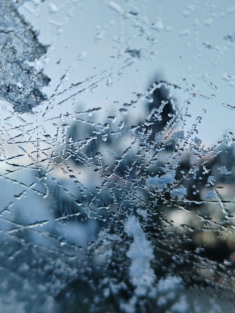 Photograph by Ольга Рыбина