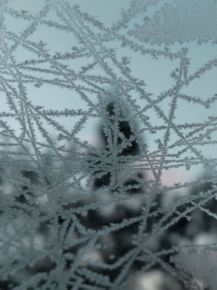 Photograph by Ольга Рыбина