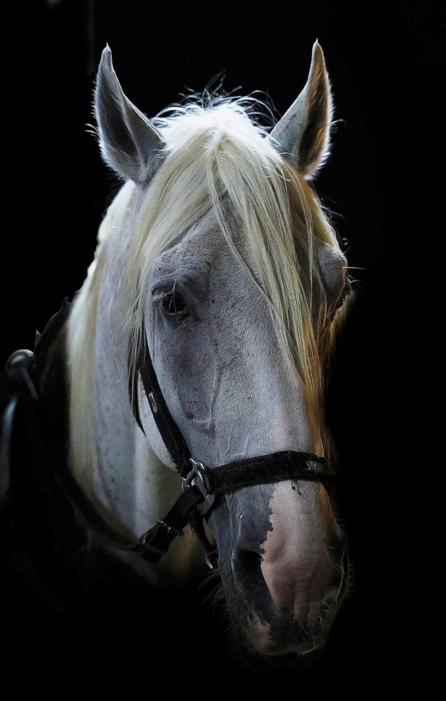 Photograph by Raed Victor Saad