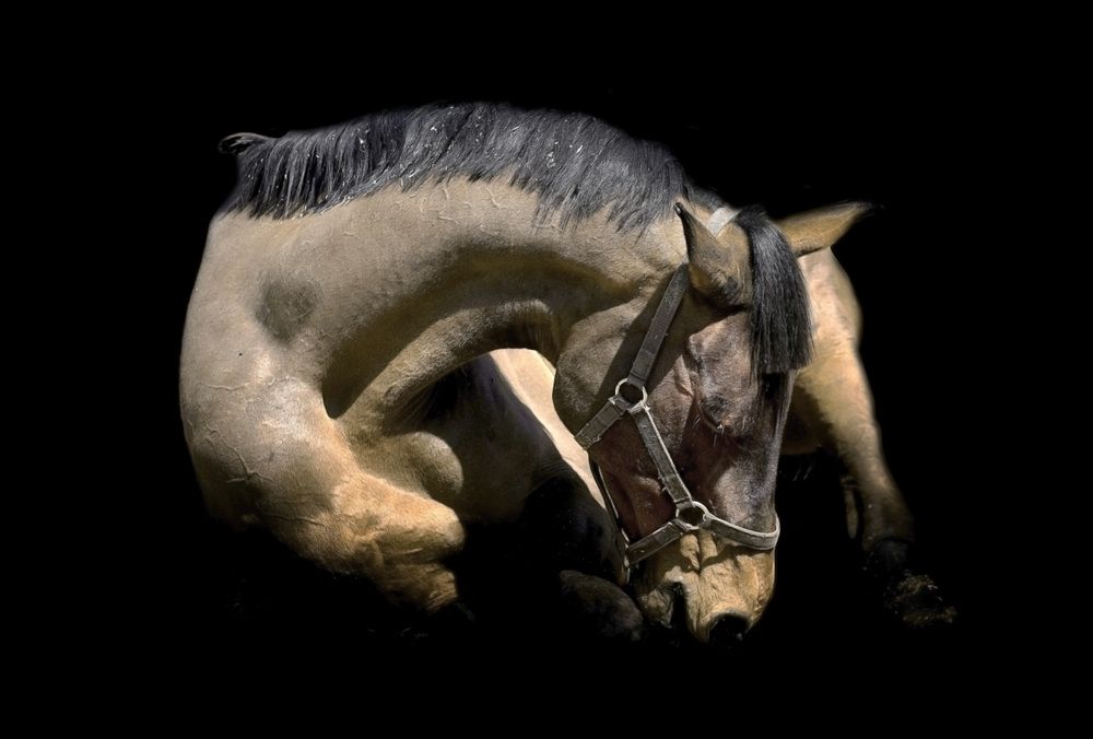 Photograph by Raed Victor Saad