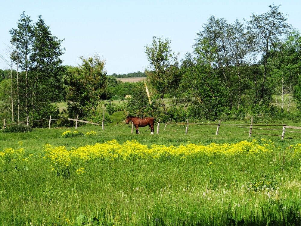 Photograph by Лариса Басова