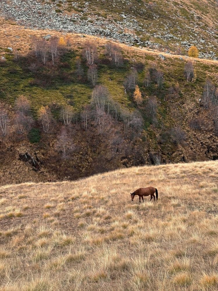 Фотография автора Сартакова Анастасия