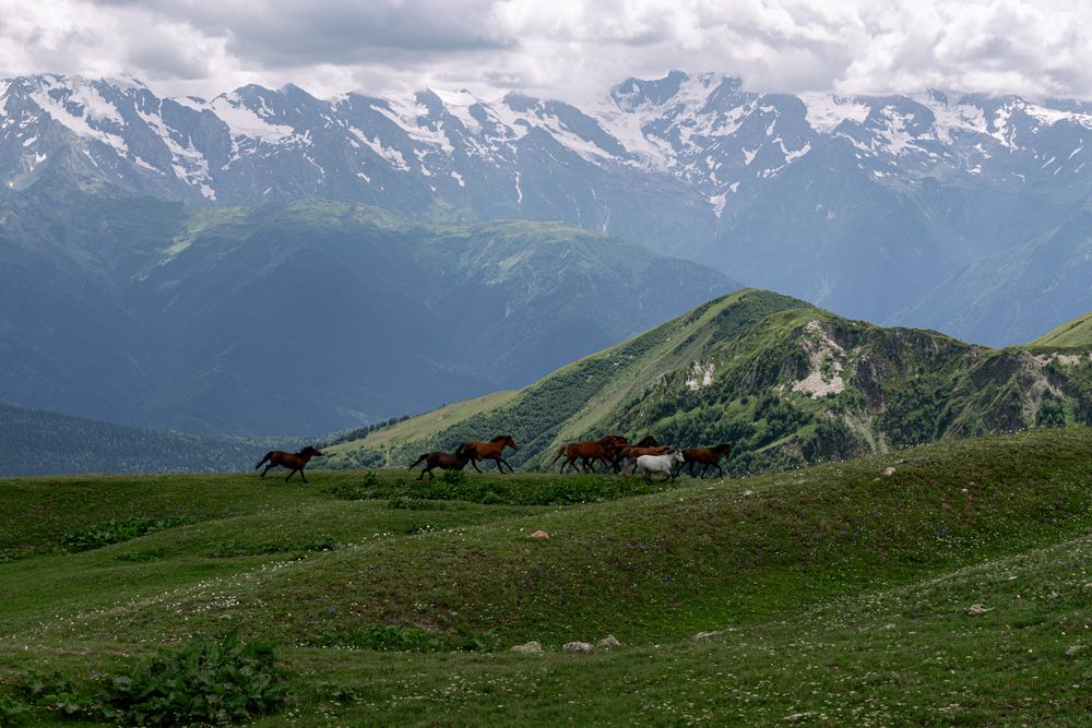 Фотография автора Сартакова Анастасия