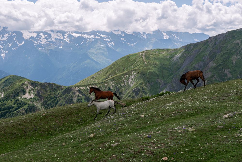 Фотография автора Сартакова Анастасия