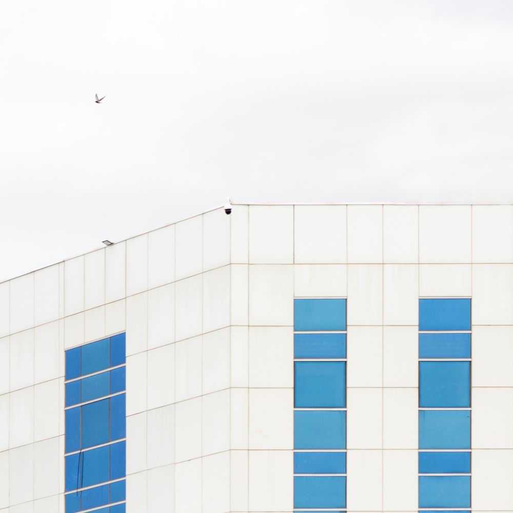 Photograph by MOJDEH NOROUZI