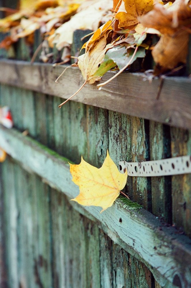 Фотография автора Виталий Климов