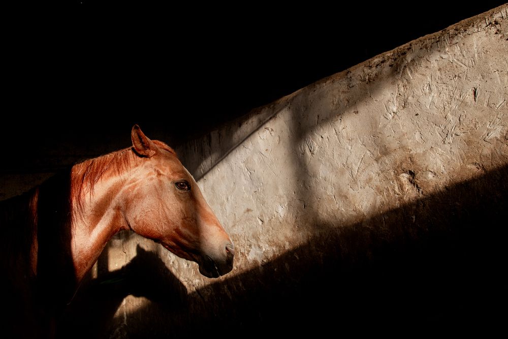 Photograph by Morteza pahang