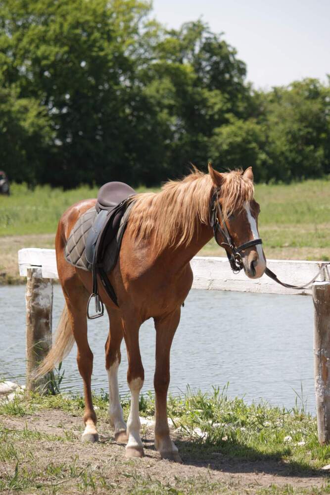 Photograph by Титова Наталья