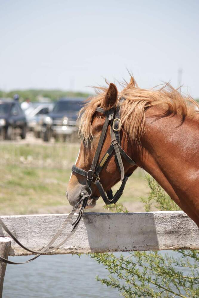 Photograph by Титова Наталья