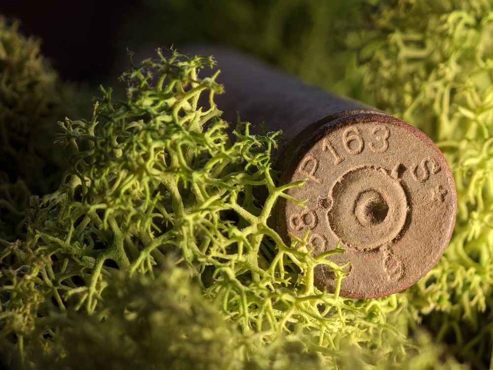 Photograph by Alexandr Gorelenkov