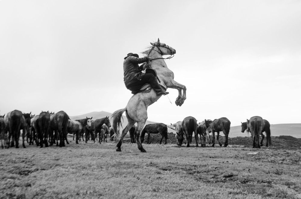 Photograph by MOJDEH NOROUZI