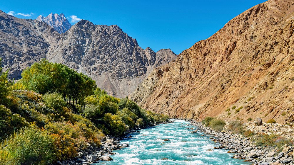 Здесь не соскучишься