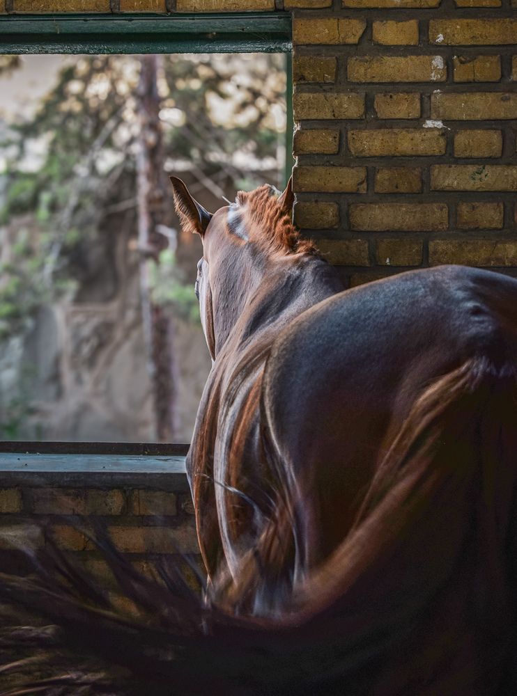 Photograph by pooya farhoodi