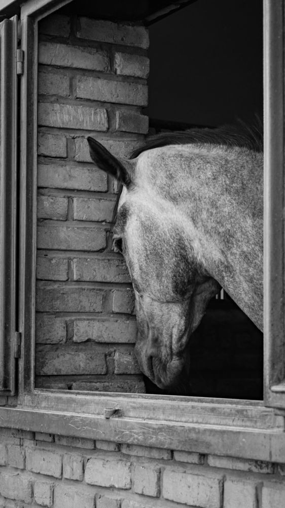 Photograph by pooya farhoodi