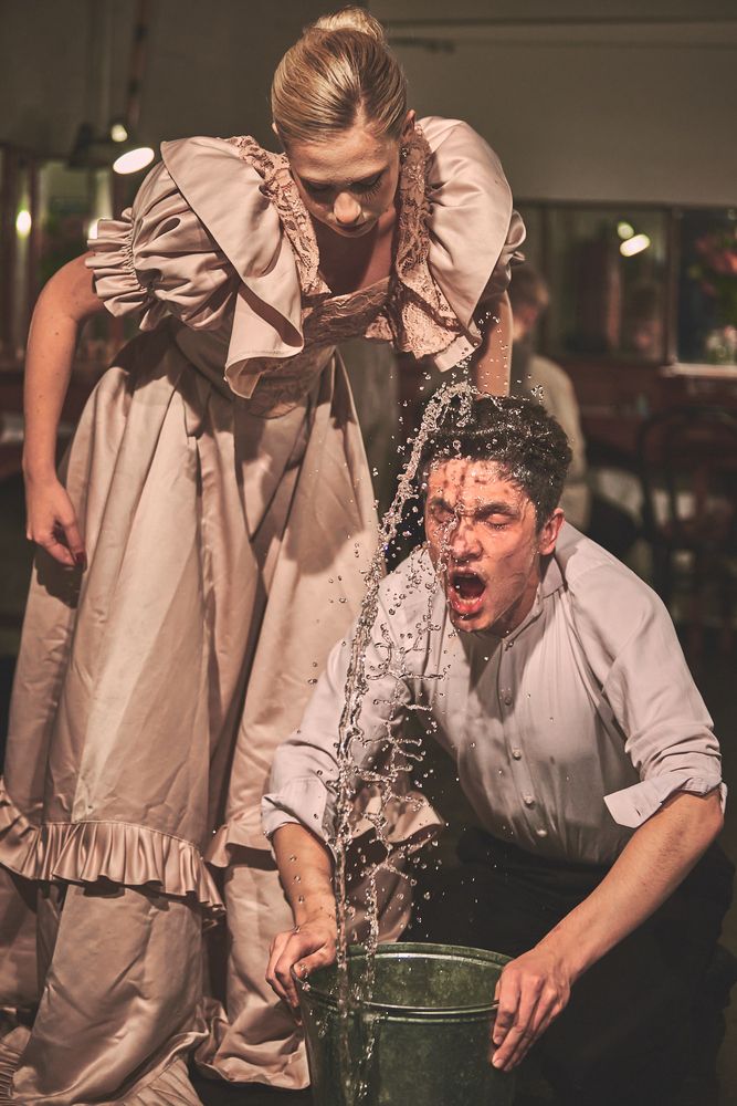 ЧАЙКА. МОНОЛОГИ.