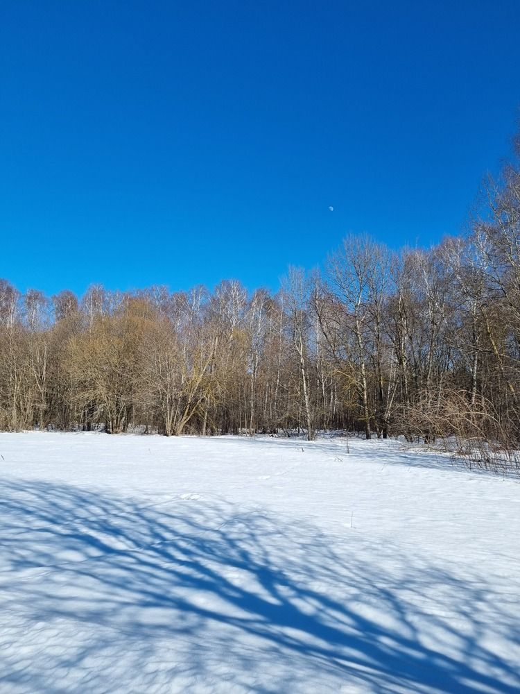 Фотография автора Наталья Агапова