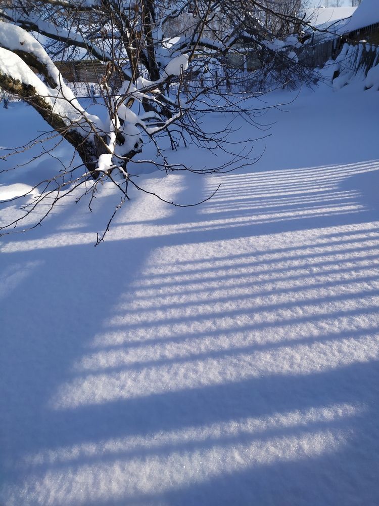 Фотография автора Наталья Агапова