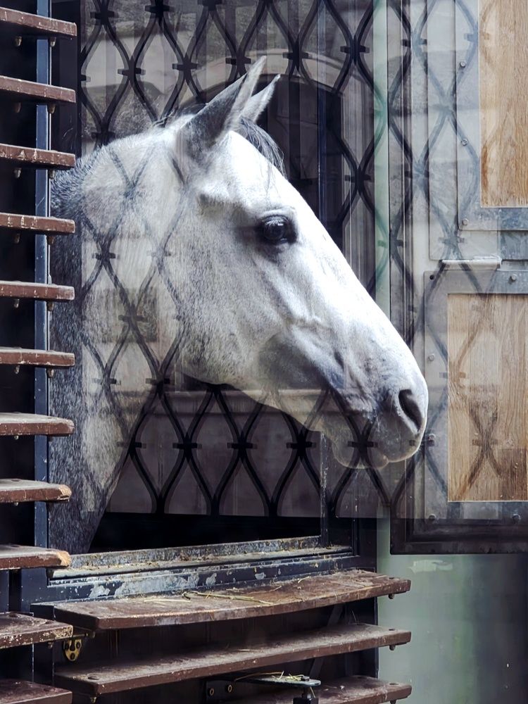 Photograph by Natalia