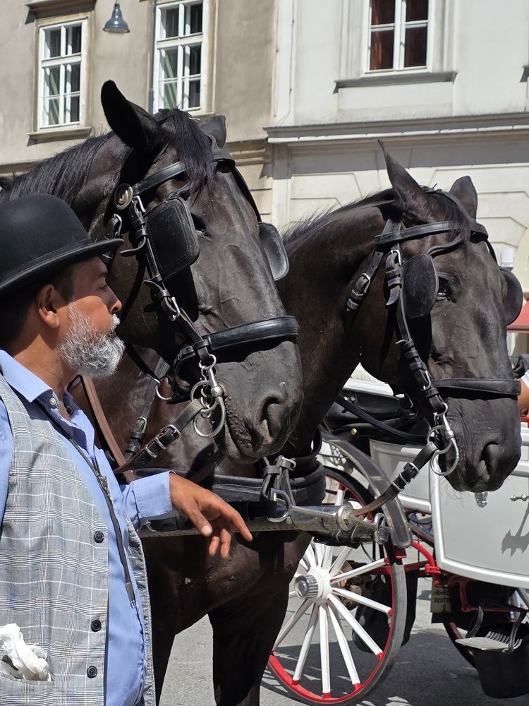 Photograph by Natalia