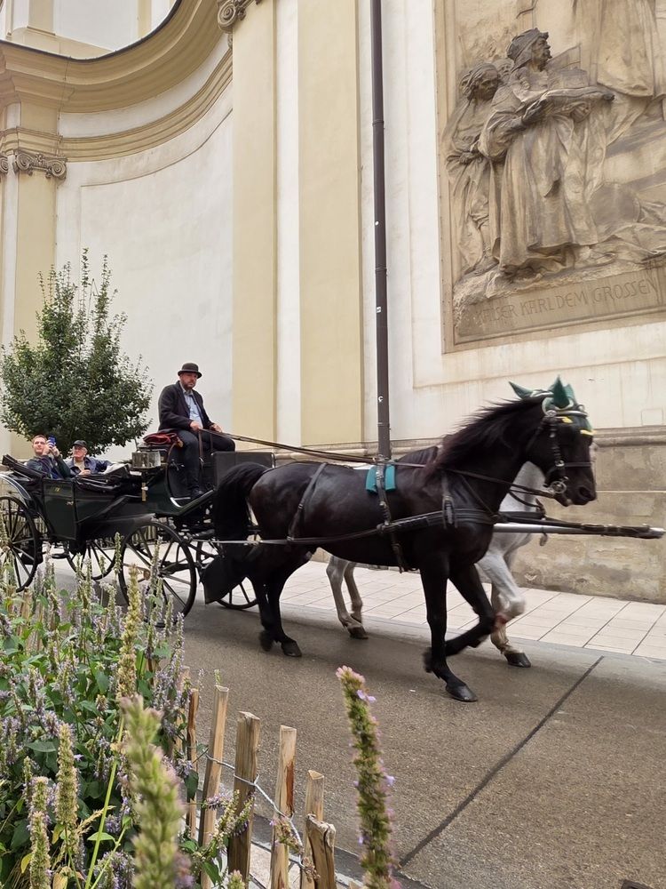 Photograph by Natalia