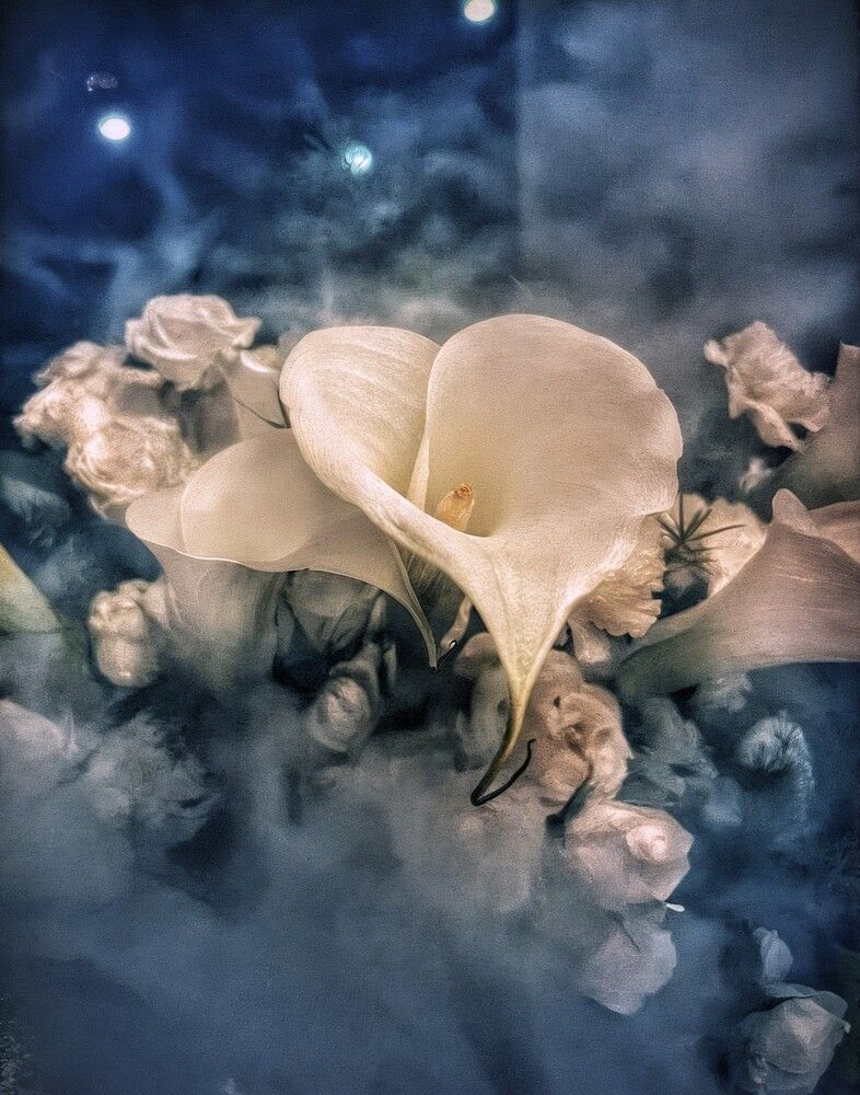 Photograph by Iuliia Akhulkova