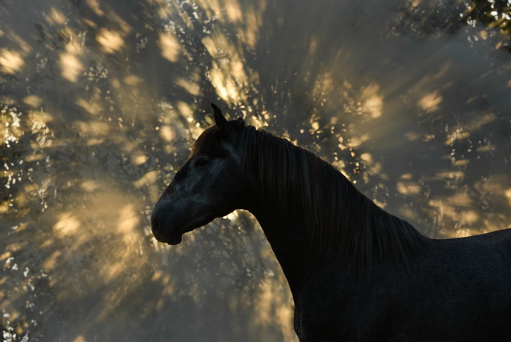 Photograph by Валерия Заноска