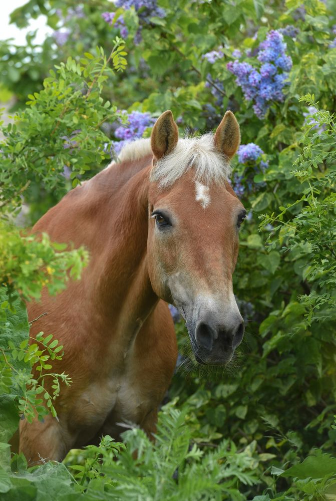 Photograph by Валерия Заноска