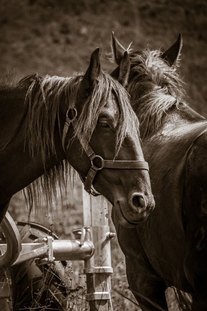 Photograph by Анастасия Дулова