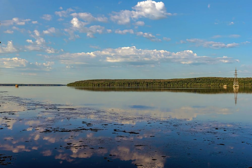 Утром у водоема