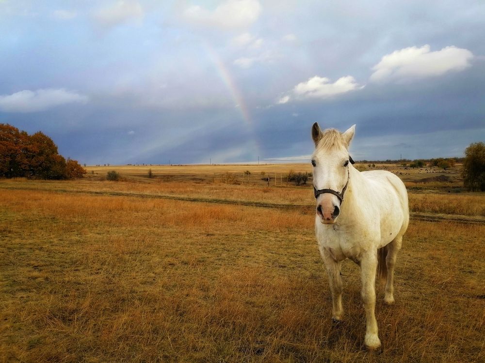 Photograph by Анжелика