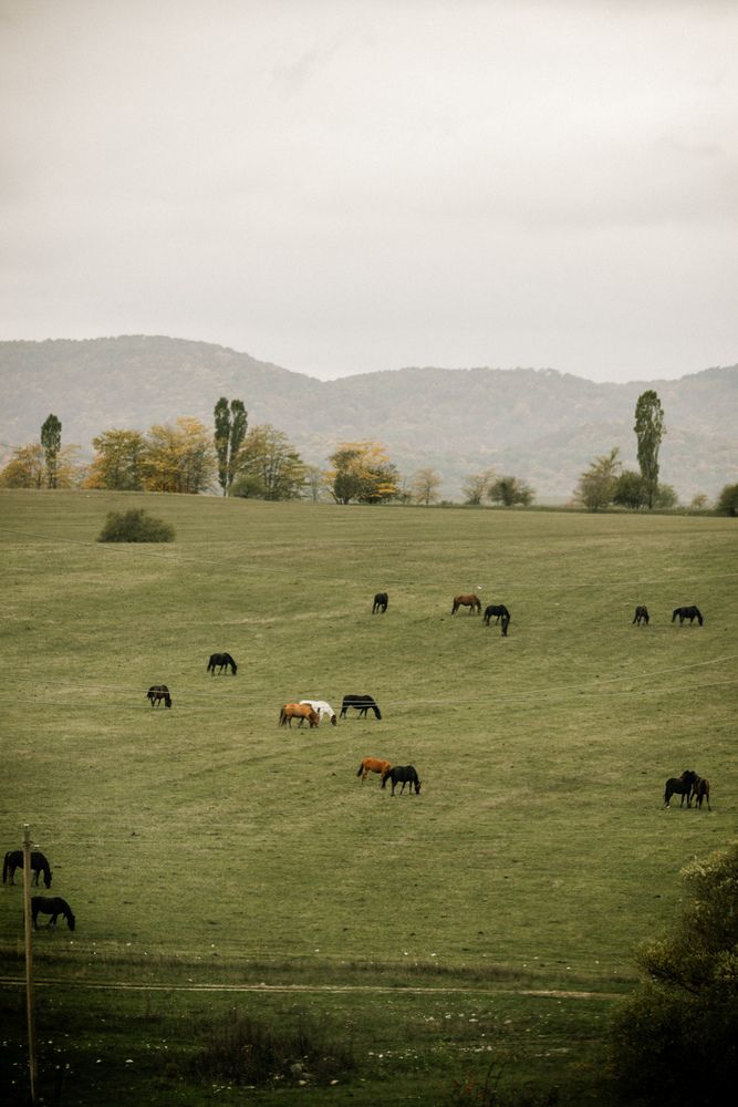 Photograph by Юлия Сысоева