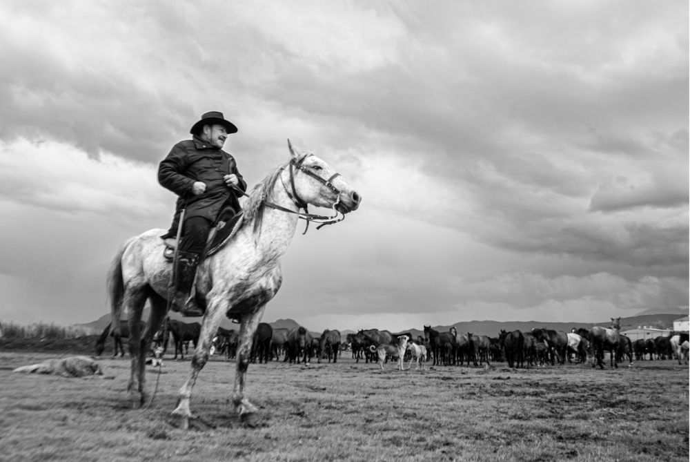 Фотография автора MOJDEH NOROUZI