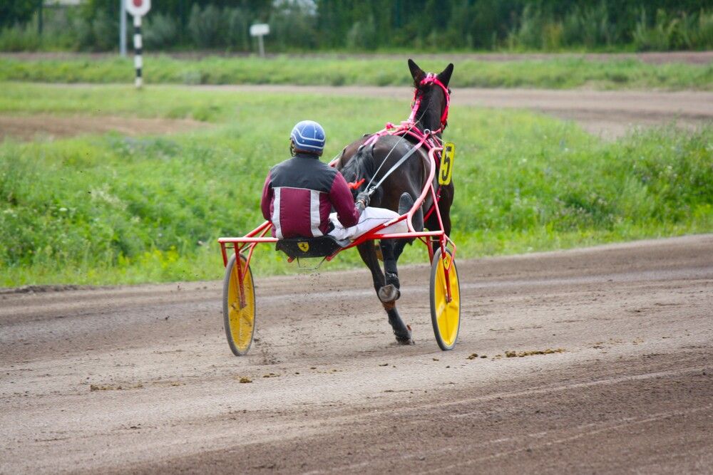 Фотография автора Михаил Некрасов