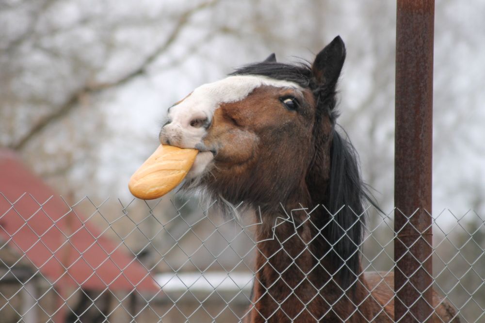 Photograph by Александр Гришин