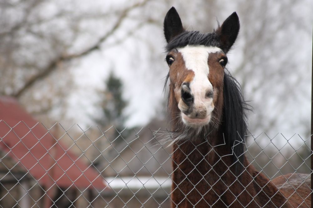 Photograph by Александр Гришин