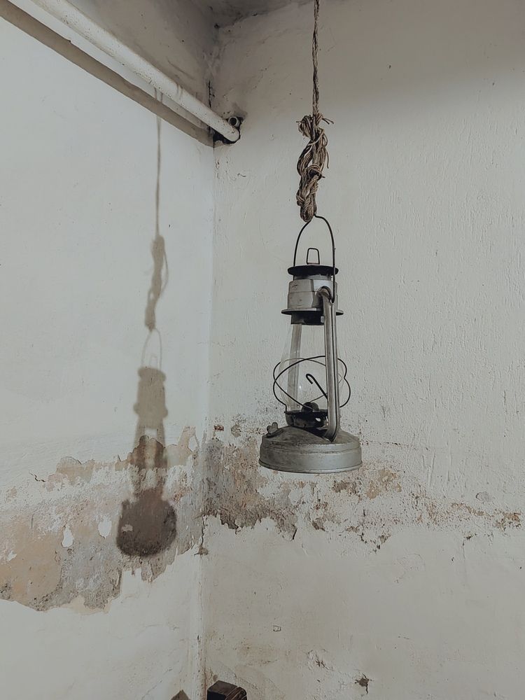 Photograph by Ольга Рыбина